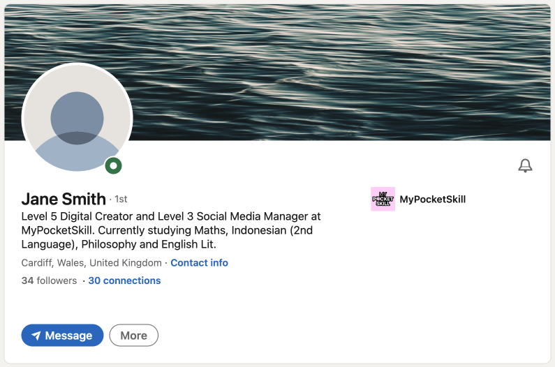 LinkedIn Demo.png